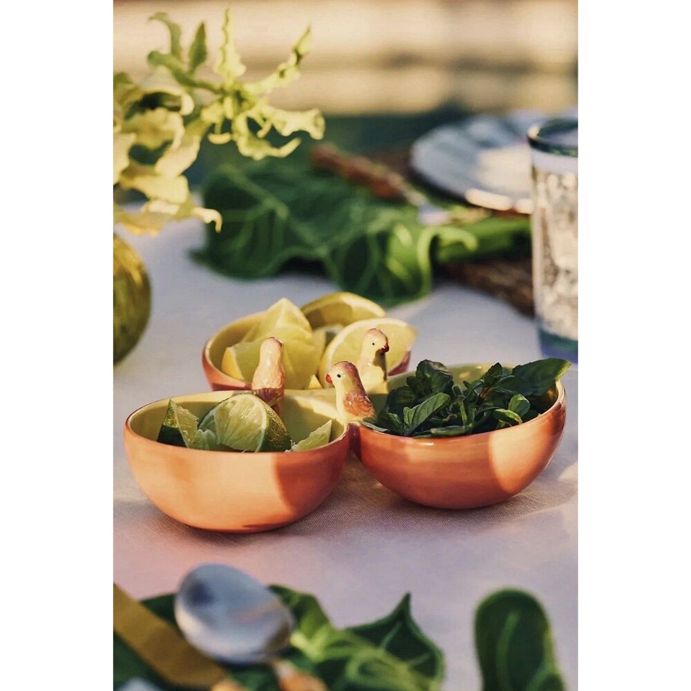 New Anthropologie X Farm Rio Collab Stoneware Tropical Birds Tri-Bowl Serveware